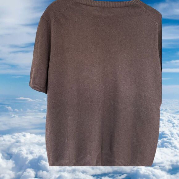 Jennie Liu Sweater Large Womens 100% CASMERE Soft Pullover Short Sleeve Brown - Picture 5 of 5